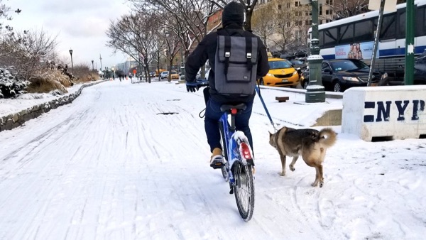 West Side Greenway Barriers Fail First Test of Winter