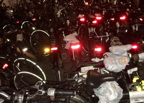 Can Albany and the City Council Save NYC From de Blasio’s Backward E-Bike Policy?