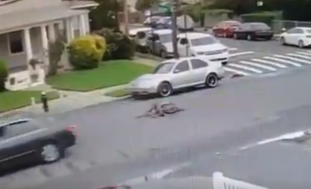 Hit-and-Run Driver Rams Child Riding Bike Near Queens Schools