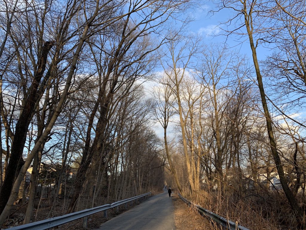State to Study Reuse of Old ‘Motor Parkway’ in Eastern Queens