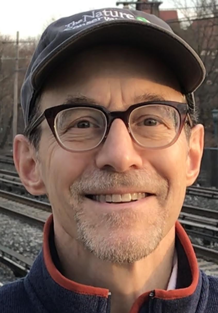 Steve Strauss