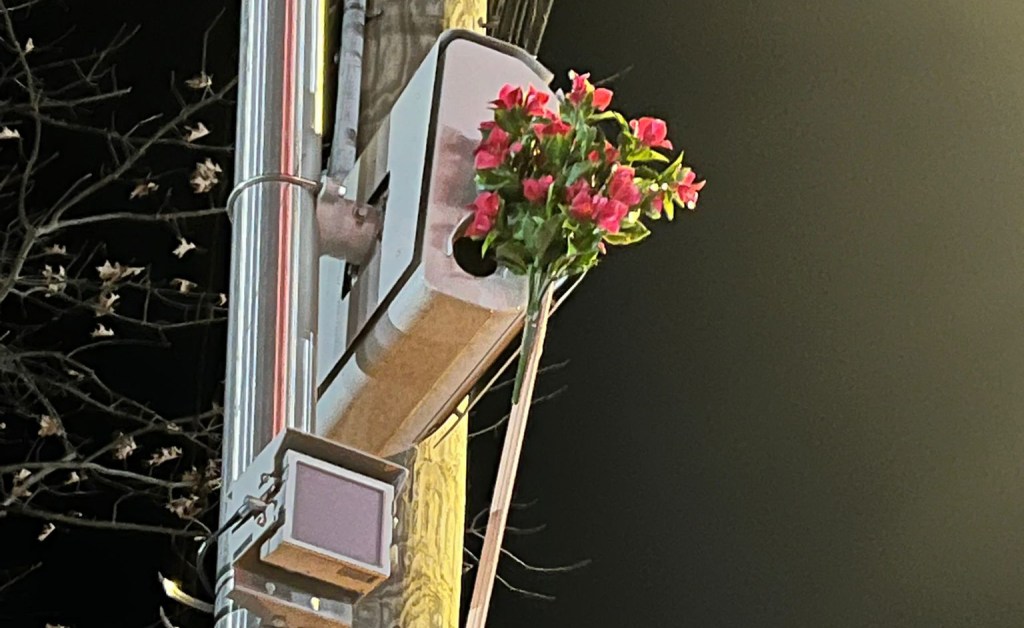 Rock and Rage: Staten Islanders Again Waging War on Life-Saving Speed Cameras