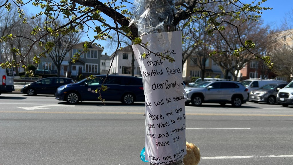 Vision? Zero: Tragedy Underscores Shortcomings of Efforts to Make Ocean Parkway Safer