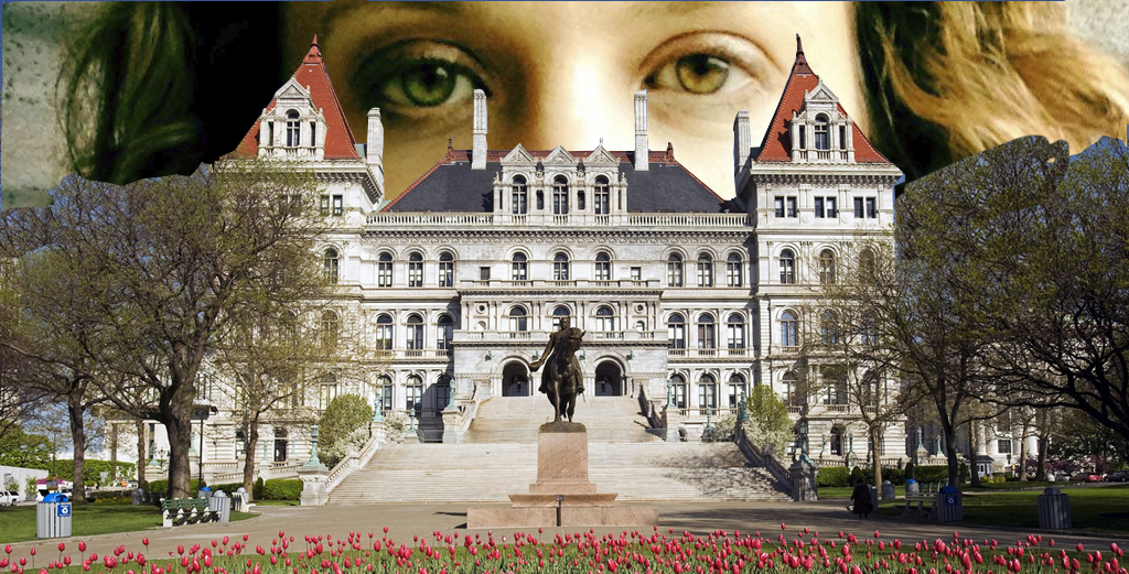 Capital Idea: Meet Our New Albany Correspondent, Amy Sohn